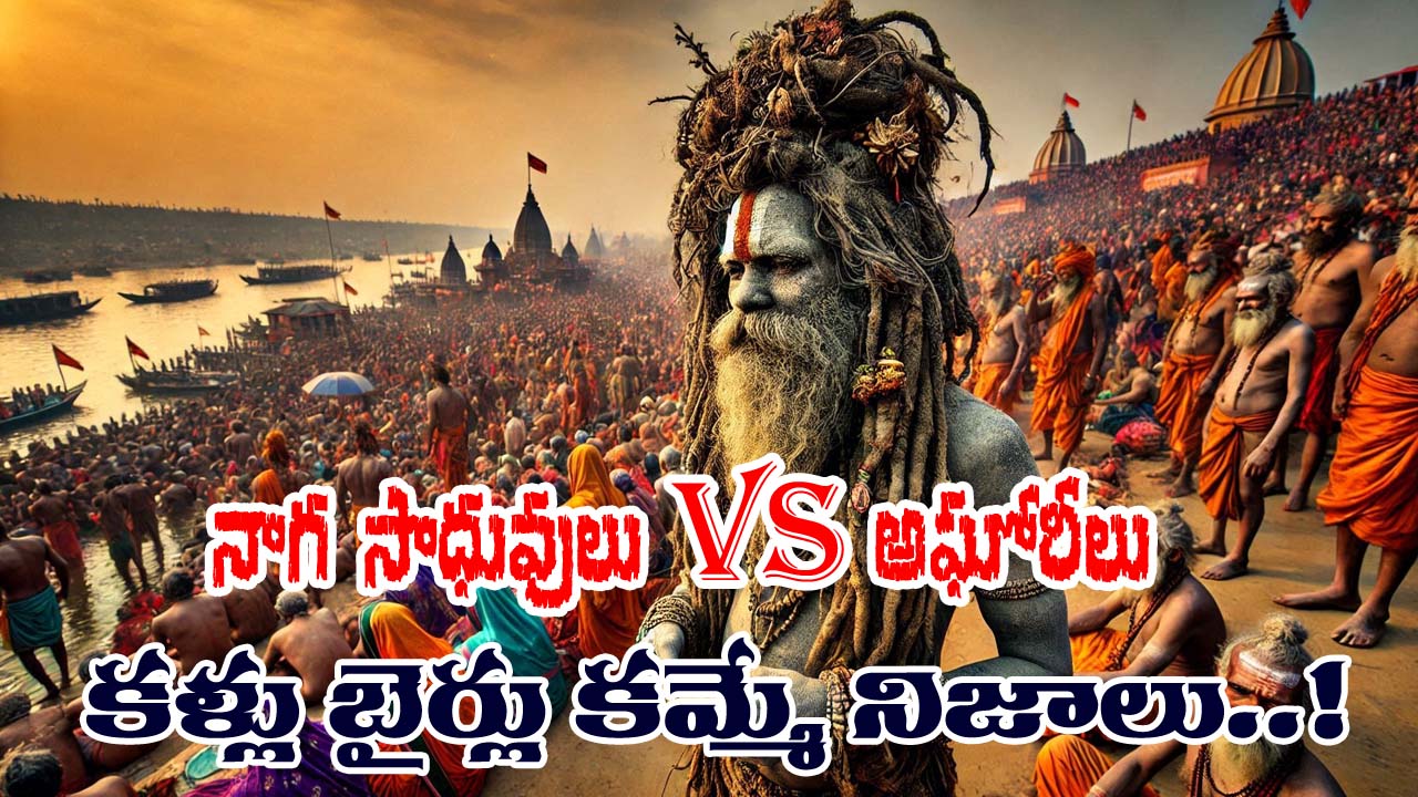 Naga Sadhu – Aghori : నాగసాధువులు, అఘోరీలు ఒక్కటి కాదా? కళ్ళు బైర్లు కమ్మే నిజాలు