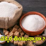 Sugar Side Effects: చక్కెర తింటున్నారా ? మీ లైఫ్ రిస్క్‌లో పడ్డట్లే !