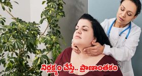 Thyroid Side Effects: థైరాయిడ్‌ని లైట్ తీసుకుంటే చాలా డేంజర్.. ఎందుకంటే ?