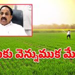 Tummala Comments : భూమికి విత్తుకు ఉన్న సంబంధం- కాంగ్రెస్, రైతులది.. బీఆర్ఎస్ పై విరుచుకుపడ్డ తుమ్మల