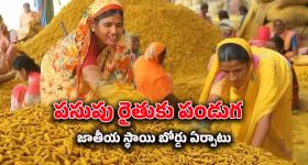 Akhanda -2: బాలయ్య ఫ్యాన్స్ కి గుడ్ న్యూస్.. షూటింగ్ మొదలు అక్కడే..!