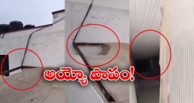 OTT Movie : రాణి గారి రాసలీలలు... కొడుకుని కూడా వదిలిపెట్టని కామపిశాచి