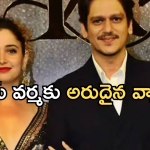 Tamannaah Bhatia : అరుదైన వ్యాధితో బాధపడుతున్న తమన్నా బాయ్ ఫ్రెండ్…