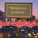Bengaluru: కన్నడ రాకపోతే బెంగళూరుకు రాకండి, సోషల్ మీడియాలో మళ్లీ రచ్చ షురూ!