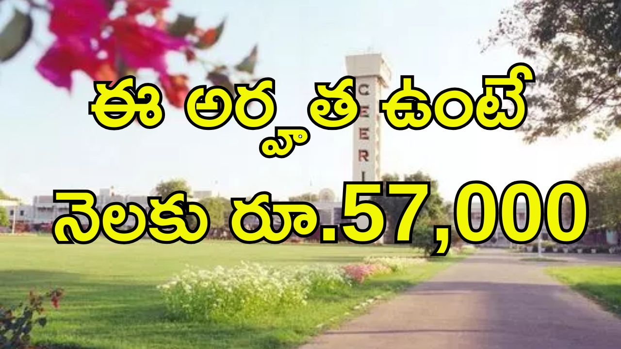 CSIR-CEERI Jobs: డిగ్రీ, డిప్లొమా పాసయ్యారా..? నెలకు స్టార్టింగ్ జీతమే.. రూ.57,000