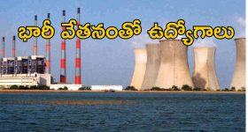 NLC Jobs: రాత పరీక్ష లేకుండా జాబ్.. ఇది ఉంటే సరిపోద్ది.. భారీగా వేతనం..