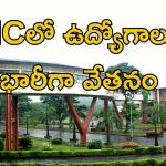 Jobs in Tata Memorial: డిప్లొమా, డిగ్రీ, బీటెక్ అర్హతతో జాబ్స్.. భారీగా జీతం.. ఇంకెందుకు ఆలస్యం
