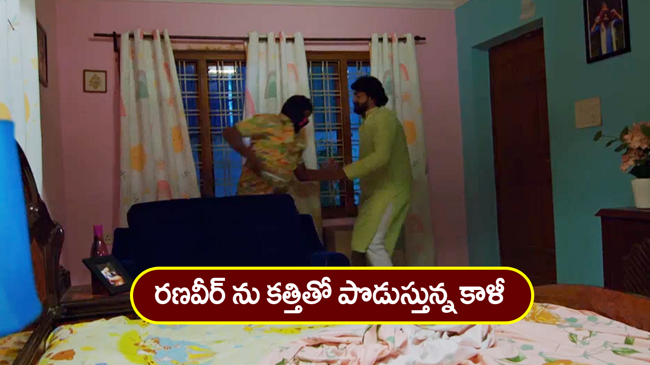 Nindu Noorella Saavasam Serial Today February 16th : ‘నిండు నూరేళ్ల సావాసం’ సీరియల్‌: రణవీర్‌ను కత్తితో పొడిచిన కాళీ – అమర్‌ ఇంటికి బయలుదేరిన అనామిక