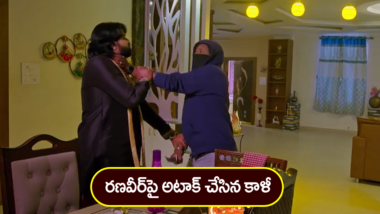 Nindu Noorella Saavasam Serial Today February 28th : ‘నిండు నూరేళ్ల సావాసం’ సీరియల్‌: రణవీర్‌ను పొడిచిన మనోహరి – కాళీని పట్టుకున్న రణవీర్‌