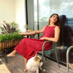 Samantha Luxurious Residence: హైదరాబాద్‌లో సమంత లగ్జరీ హౌస్ చూశారా? కళ్లు జిగేల్ అంటాయ్!