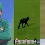 Black Cat Entry In PAK vs NZ: గ్రౌండ్ లో నల్లపిల్లులు.. ఛాంపియన్స్ ట్రోఫీకి ముందే పాకిస్థాన్ కు అపశకునం !