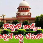 Court Jobs: గోల్డెన్ ఛాన్స్.. డిగ్రీ అర్హతతో కోర్టులో 241 జాబ్స్.. లాస్ట్ డేట్ ఇదే భయ్యా..