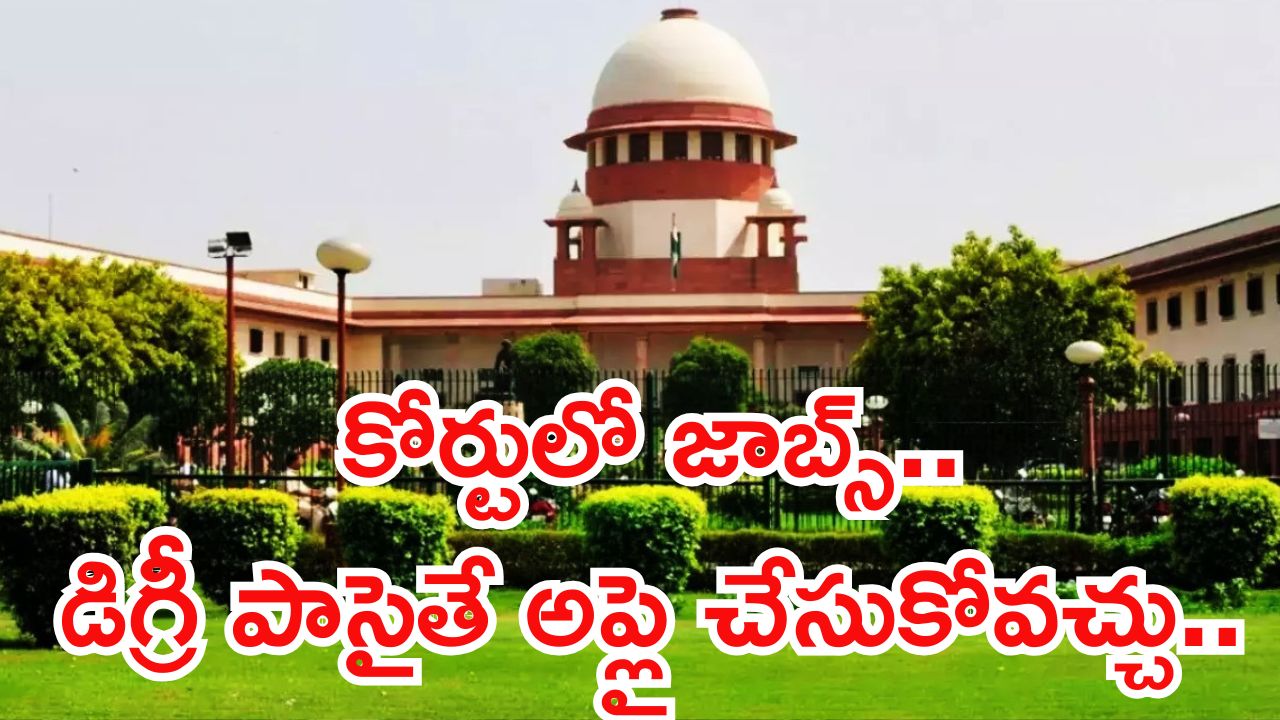 Court Jobs: గోల్డెన్ ఛాన్స్.. డిగ్రీ అర్హతతో కోర్టులో 241 జాబ్స్.. లాస్ట్ డేట్ ఇదే భయ్యా..