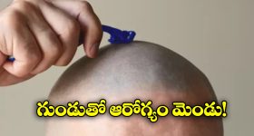 Sanjana Galrani: మళ్లీ అదే కేసులో చిక్కుకోబోతున్న ప్రభాస్ బ్యూటీ.. అసలేమైందంటే?