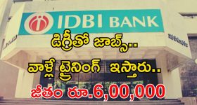 IDBI Recruitment: డిగ్రీ అర్హతతో 650 ఉద్యోగాలు.. వాళ్లే ట్రైనింగ్ ఇస్తారు.. జీతం మాత్రం రూ.6,00,000 భయ్యా