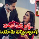 OYO Rules: వాలంటైన్స్ డే ఆ రోజు ఆ రిస్క్ చేస్తున్నారా? ఈ రూల్స్ తెలియకపోతే రస్కులు తింటూ కూర్చోవల్సిందే!