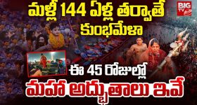 Maha Kumbh Mela: మహా కుంభమేళ.. మళ్లీ వచ్చేది 144 ఏళ్లకే, ఈ సారి రికార్డు స్థాయిలో స్నానాలు