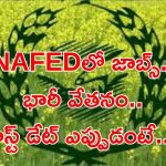 NAFED Recruitment: నిరుద్యోగులకు సువర్ణవకాశం.. ఈ జాబ్ వస్తే లైఫ్ సెట్.. ఈ అర్హతలు ఉంటే సరిపోతుంది..