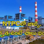 NTPC Recruitment: నిరుద్యోగులకు శుభవార్త.. భారీ వేతనంతో ఎన్టీపీసీలో ఉద్యోగాలు.. ఈ అర్హత ఉంటే ఎనఫ్..