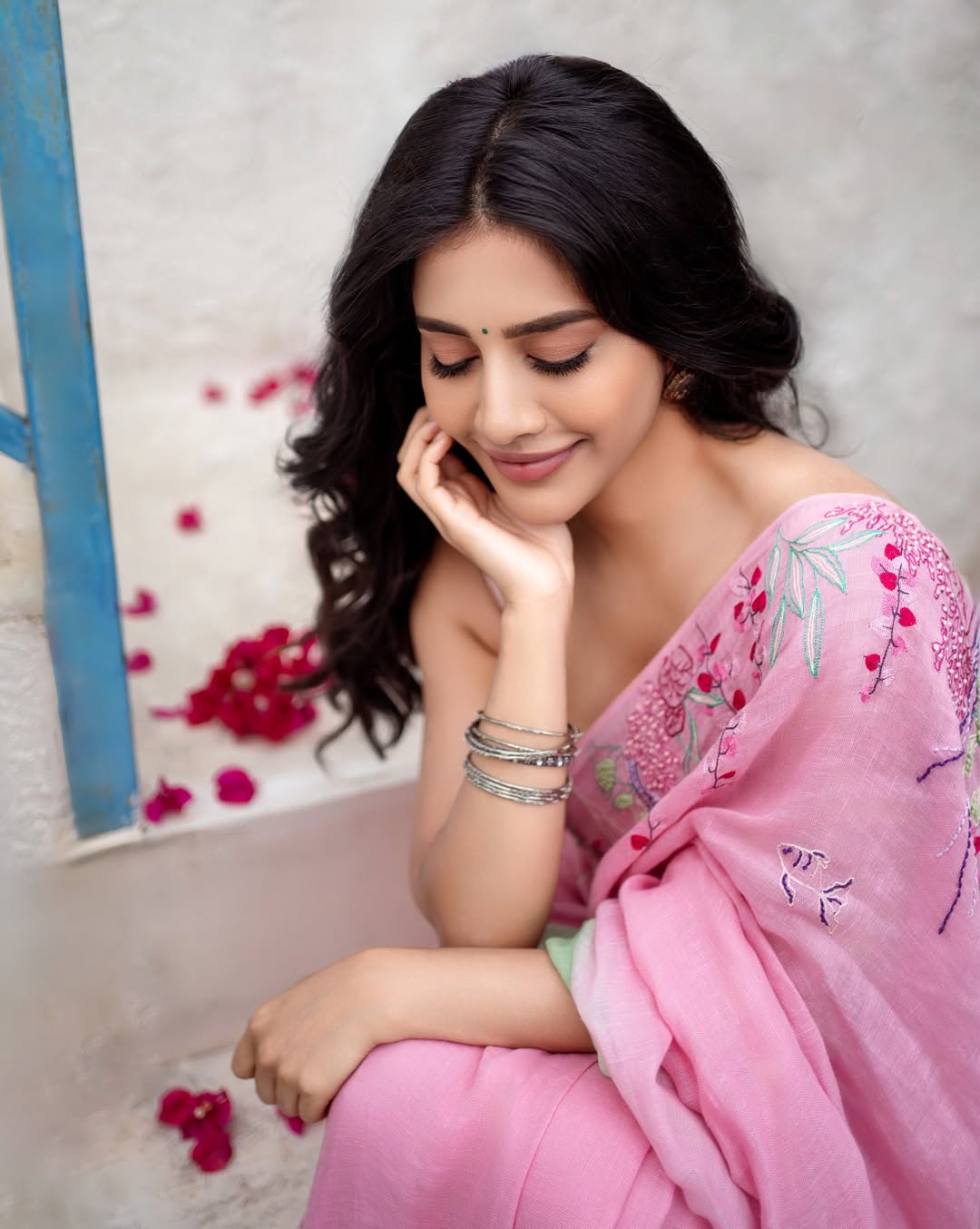 Nabha Natesh