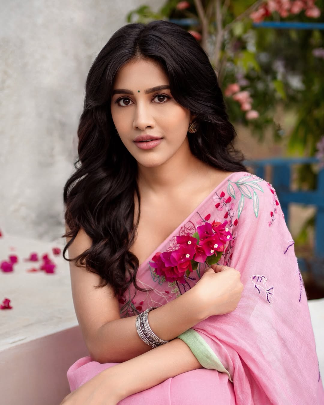 Nabha Natesh
