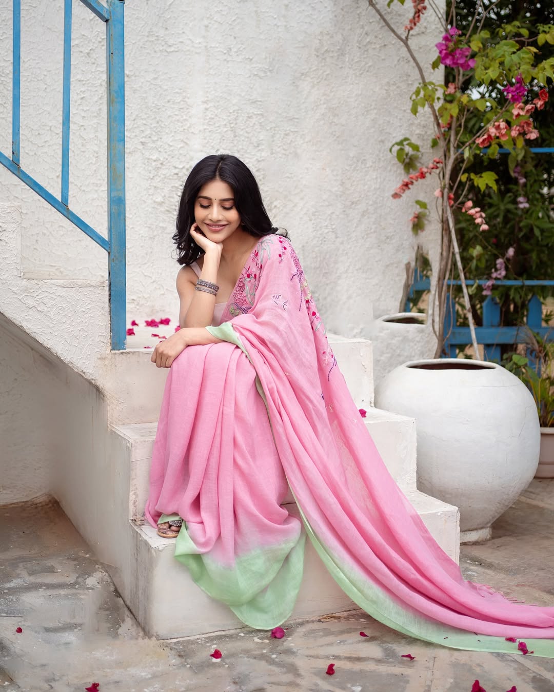 Nabha Natesh