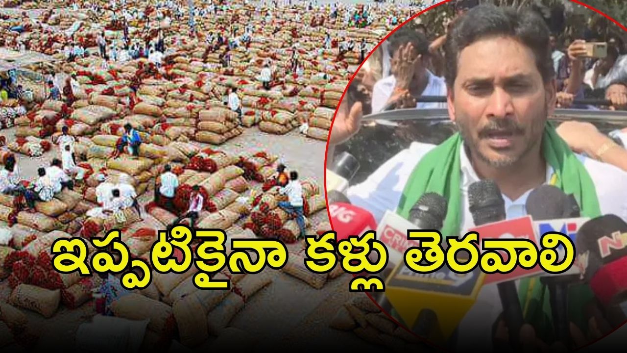 Jagan Angry: భద్రత లేదు.. గిట్టుబాటు ధర ఎక్కడ, సీఎం చంద్రబాబుకు జగన్ సూటి ప్రశ్న