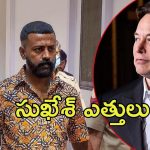 Sukesh Letter Musk: మస్క్‌కు లేఖ రాసిన ఆర్థిక మోసగాడు.. గ్రీన్ సిగ్నల్ ఇస్తే రెడీ అన్న సుఖేశ్