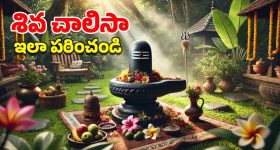 Shiva Chalisa: మహా శివరాత్రికి శివలింగం ముందు కూర్చుని ఈ చాలీసా పారాయణం చేస్తే.. ఊహించని ఫలితం