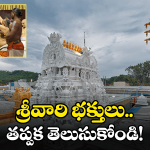 Tirumala News: రథసప్తమికి తిరుమల వెళ్తున్నారా.. ఈ విషయాలు తప్పక తెలుసుకోండి!