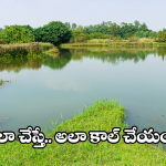 Hydra Contact Number: మీ ఏరియా చెరువులో మట్టి పోస్తున్నారా? వెంటనే ఈ నెంబర్‌‌‌‌‌‌‌‌‌‌‌‌‌‌‌‌‌‌‌‌‌కు కాల్ చేయండి