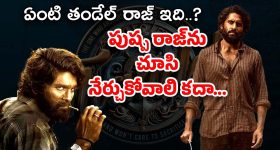 Naga Chaitanya : ఇదేక్కడి తలనొప్పి… మూవీకి తండేల్ రాజే మైనసా..?