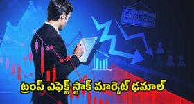 Stock Market Carsh: స్టాక్ మార్కెట్ క్రాష్.. దలాల్ స్ట్రీట్ ఢమాల్.. మార్కెట్ పతనానికి కారణాలు ఇవే..!