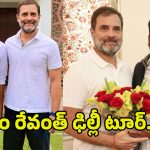 CM Revanth Reddy: రాహుల్‌తో రేవంత్ మీటింగ్.. ఆ 6గురు కొత్త మంత్రులు ఎవరు?