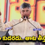 CM Chandrababu: చెత్తను తొలగిస్తున్నాం.. సీఎం చంద్రబాబు