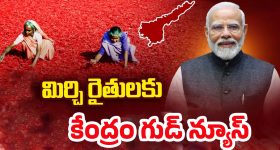 Central Govt: ఏపీ మిర్చీ రైతులకు మోదీ గుడ్ న్యూస్.. క్వింటాకు రూ.11,781 ధర