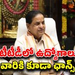TTD BR Naidu Statement: తిరుమలలో ఆ భాగ్యం మీకు దక్కాలంటే.. ఇలా చేయండి