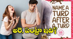 Viral News: రోజా పూలు పాత స్టైల్.. ఏనుగు పేడ కొత్త ట్రెండ్, వాలంటైన్స్ డేకి కొత్త గిఫ్ట్ రెడీ!