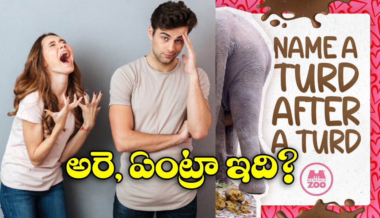 Viral News: రోజా పూలు పాత స్టైల్.. ఏనుగు పేడ కొత్త ట్రెండ్, వాలంటైన్స్ డేకి కొత్త గిఫ్ట్ రెడీ!