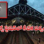 Rape Case: రైల్లో మహిళపై అత్యాచారం, బాబోయ్.. మరీ ఇంత దారుణమా?