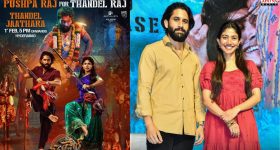 Thandel Pre Release Event: అభిమానులకు షాక్.. వాయిదా పడ్డ ప్రీ రిలీజ్ ఈవెంట్..!