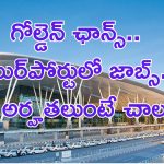 Junior Executive Jobs: ఎయిర్ట్‌పోర్టులో ఉద్యోగాలు.. జీతం అక్షరాల రూ.1,00,000 పూర్తి వివరాలివే..