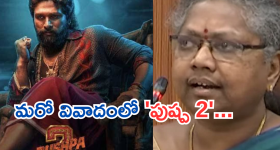 Pushpa2 : 'పుష్ప 2' పిల్లలను చెడగొట్టింది.. సెన్సార్ బోర్డు పై హెడ్ మాస్టర్ ఫైర్..