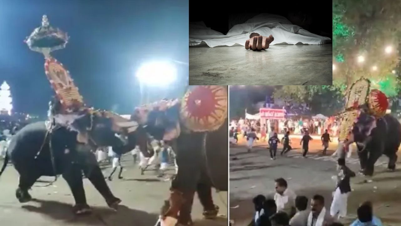 Kerala Elephant Chaos : గుడిలో భక్తులను తొక్కి చంపిన ఏనుగులు.. కేరళలో భయానక ఘటన