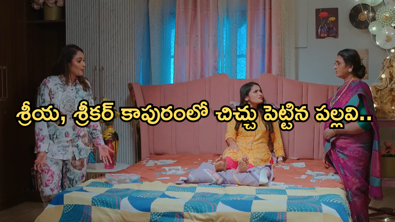 Intinti Ramayanam Today Episode : శ్రీయను టార్గెట్ చేసిన పల్లవి.. పల్లవికి దిమ్మతిరిగే షాక్ ఇచ్చిన రాజేంద్ర ప్రసాద్..
