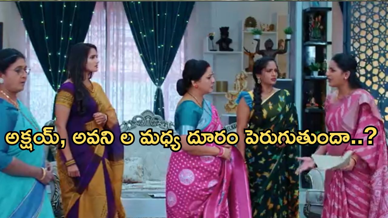 Intinti Ramayanam Today Episode : అవనిని శాశ్వతంగా దూరం చేసేందుకు పల్లవి ప్లాన్.. అవనికి బిగ్ షాక్..