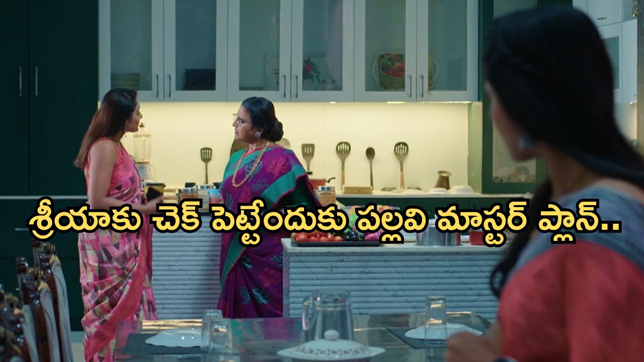 Intinti Ramayanam Today Episode : పల్లవికి షాకిచ్చిన అవని.. శ్రీయను బుట్టలో వేసుకునేందుకు పల్లవి స్కెచ్..