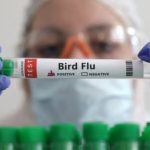Bird Flu: పసిబిడ్డకు బర్డ్ ఫ్లూ.. జాగ్రత్త, ఎలా సోకిందంటే?