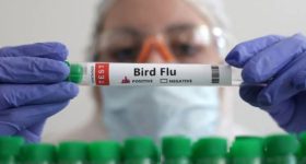 Bird Flu: పసిబిడ్డకు బర్డ్ ఫ్లూ.. జాగ్రత్త, ఎలా సోకిందంటే?
