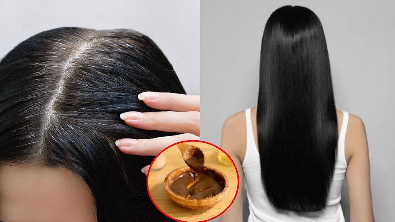Amla Powder For White Hair: ఉసిరి పొడిలో ఈ 3 కలిపి వాడితే.. తెల్ల జుట్టు రమ్మన్నా రాదు !